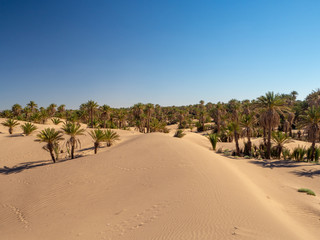 Desert town of Mhamid, Morocco village with nature sand dunes and old muslim mosque in north Africa, old narrow streets, traditional clay mud architecture