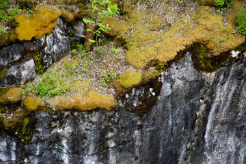 Grassy marble rocks is close