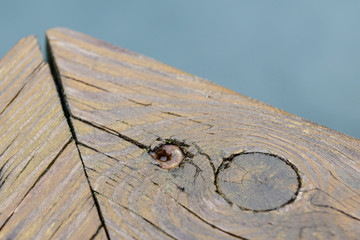 Screws screwdriver twist in wooden board. close up