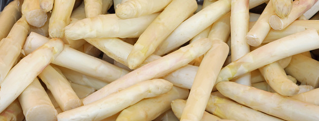 background of white asparagus for sale