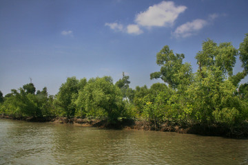 Sundarban