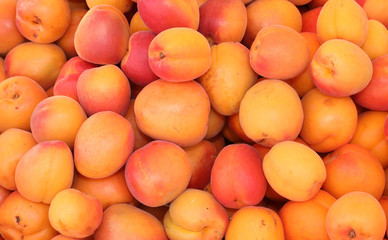 background of orange apricots for sale in summer