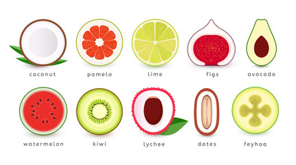 Set of fresh fruits icons. Slice of tropical fruits, logo collection. Isolated vector emblems.