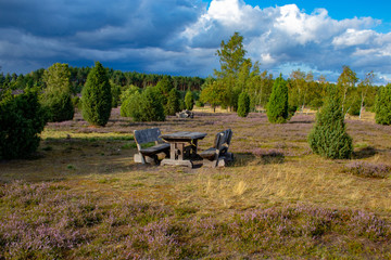 L&uuml;neburger Heide