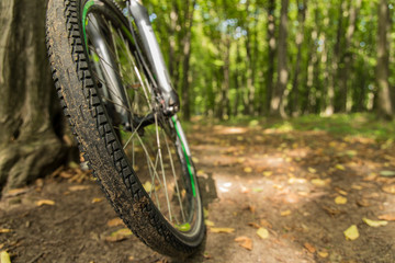 Fototapeta na wymiar cycle wheel tire composition center in forest scenic outdoor landscape unfocused blurred natural background environment on ground trail, sport movement and free time spending concept wallpaper picture