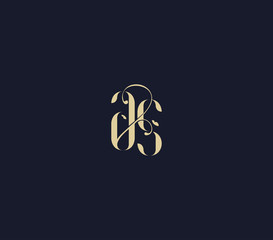 letter A S logo. luxury lettr AS logo design element.