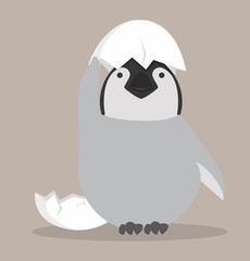 Baby penguin hatched in egg vector