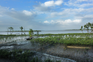 Sundarban