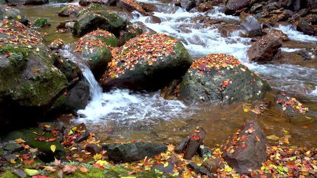 Stream with rocks and fallen autumn leaves in Yokoya gorge in Chino, Japan