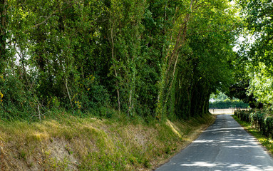 Naklejka premium Landstraße