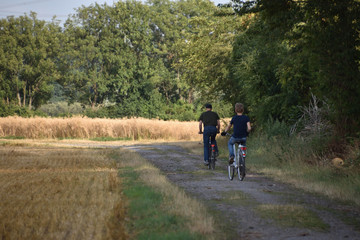 Fototapeta premium active rest on bicycles with field trips to the river