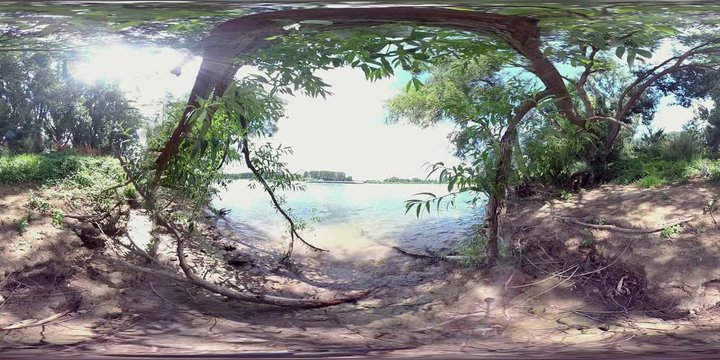 VR360, Flusslandschaft am Rhein, Auwald bei Gernsheim, Hessen, VR 360, 360VR, VR