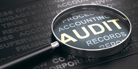 Financial Auditing Concept. - 284088192
