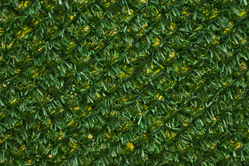Texture of green fence fence. Artificial green fence.
