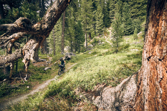 Woman mountain bikes on singletrack in the woods