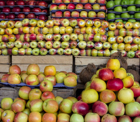 Apples for sale at a market in Amsterdam