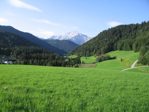 Berglandschaft Alpen mit Wiesen und Wäldern