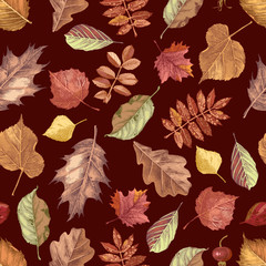 Hand drawn seamless pattern with autumn leaves