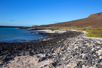 Landscape of Isla Santiago, Galapagos islands - 284095118