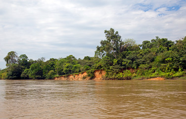 Fototapeta na wymiar Landscape of Napo river in the Amazon rainforest, Ecuador