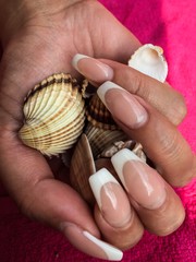 Hand with perfect manicure holding sea shells