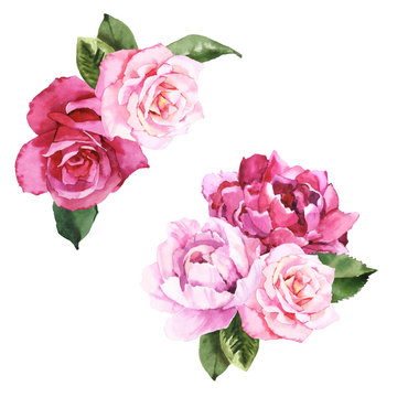 Watercolor hand painted botanical peonies, roses and leaves illustration set isolated on white background