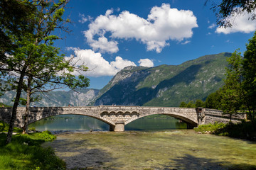 Lake Bohinj in Triglav national park, Slovenia