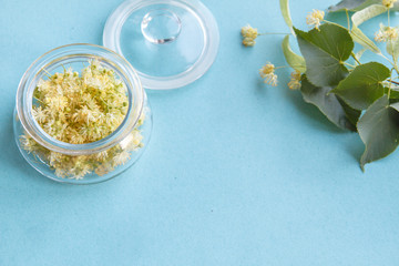 yellow flowers of fragrant Linden macro on a blue background in a glass jar. Healing plant. Copy space