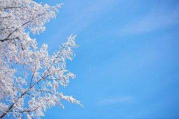 winter bacground of blue colour