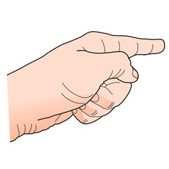 Hand [coloriert, links]