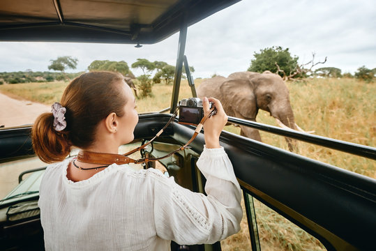 A woman on an African safari travels by car with an open roof and photograph wild elephants