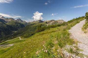 Fototapeta na wymiar Montagne à Galzig, pente herbe et sommets