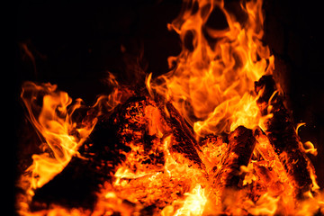 traditional Italian pizza wood oven, fire detail
