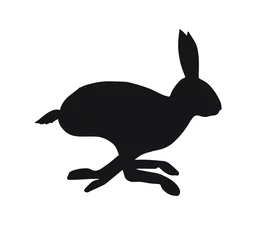 Foto op Aluminium Vector black running hare silhouette isolated on white background © Sweta