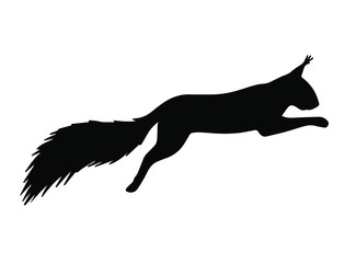 Vector black jumping squirrel silhouette isolated on white background