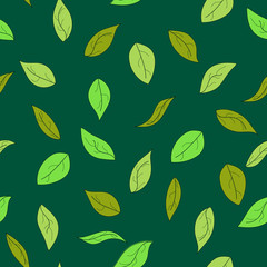 Hand drawn green leaves seamless pattern. Autumn background. Vector illustration