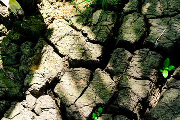 Land with dry and cracked ground background. Cracked soil background