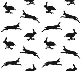 Foto op Aluminium Vector seamless pattern of black hare silhouette isolated on white background © Sweta