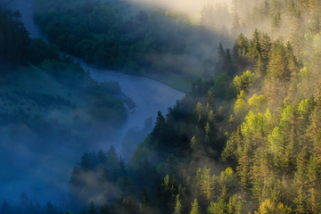 Fototapeta premium Poranna mgła nad rzeką, promienie słoneczne przebijające się przez mgłę. Bajkowy mistyczny mglisty las