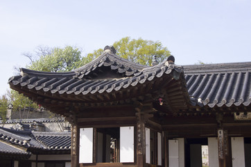 Fototapeta premium old korean building in palace