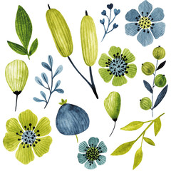 Colorful floral collection with flowers,leaves,branches,berries and more. Bright colorful floral collection with watercolor elements.Set of floral elements.Pastel collection for your design.