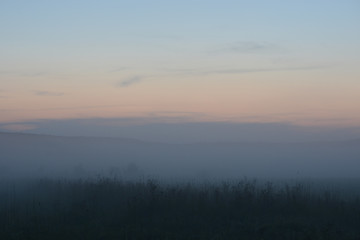 Foggy night