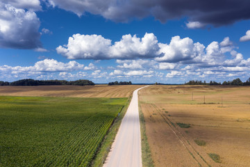 Fields and clouds in summer afternoon.