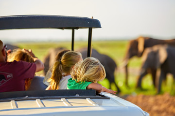 Safari holiday. Blond children watching african elephants from roof of a safari car.  Family on safari holiday in Amboseli national park. Wildlife photography in Kenya, Tanzania. - obrazy, fototapety, plakaty