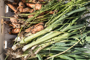Delicious carrots and vegetarian leek onions from the garden.