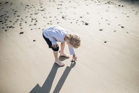 Boy collecting shells on beach, Laguna Beach, California, United States