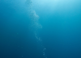 Scuba Diving bubbles rising to the surface.