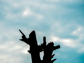Abstract silhouette tree trunk against the blue sky and clouds. Copy space wallpaper. Climate change concept.