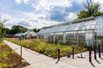 Greenhouses form an important part of restaurant Noma