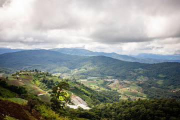 Fototapeta na wymiar Landscape of agriculcure field and forest on mountain, Chiang Mai, Thailand